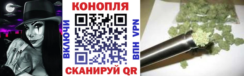 Шишки марихуана Amnesia  блэк спрут маркетплейс  Богданович 